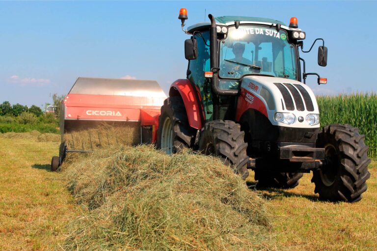 aimone-slider-campo-fienagione