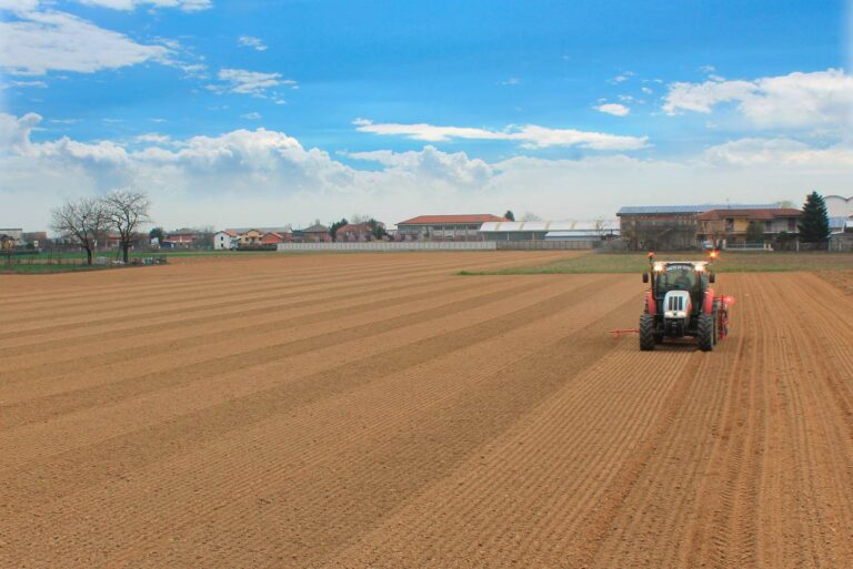aimone-slider-campo-semina