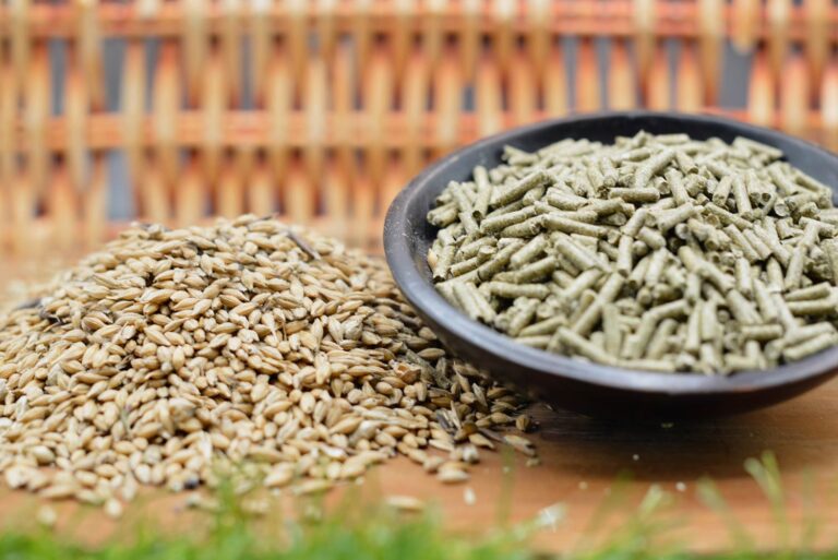 aimone-slider-mangime-conigli