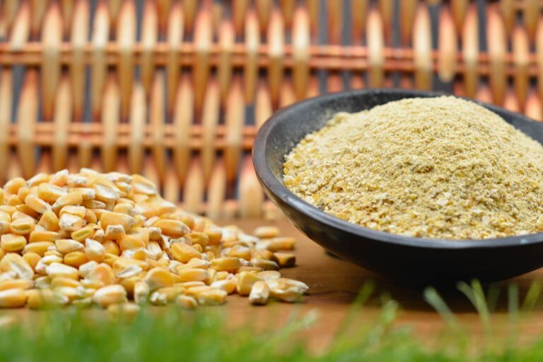 composizione-slider-mais-macinato