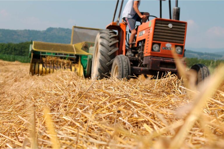 composizione-sliderAIMONE-paglia