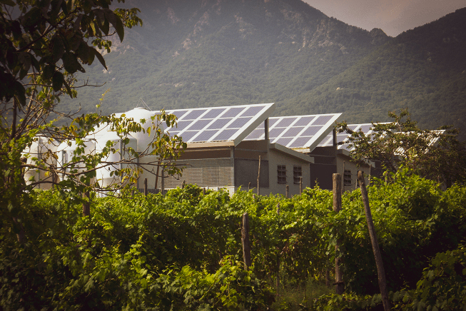 pannelli fotovoltaici ok